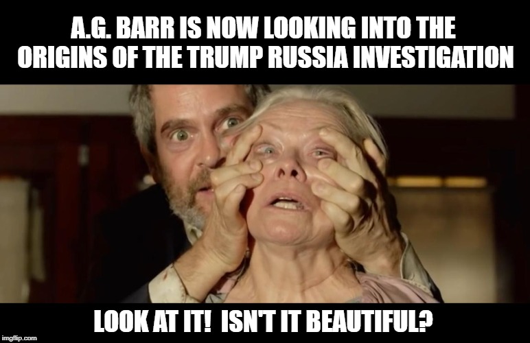 They are Afraid of What Will Be Found | A.G. BARR IS NOW LOOKING INTO THE ORIGINS OF THE TRUMP RUSSIA INVESTIGATION; LOOK AT IT!  ISN'T IT BEAUTIFUL? | image tagged in bird cage look,russia investigation | made w/ Imgflip meme maker
