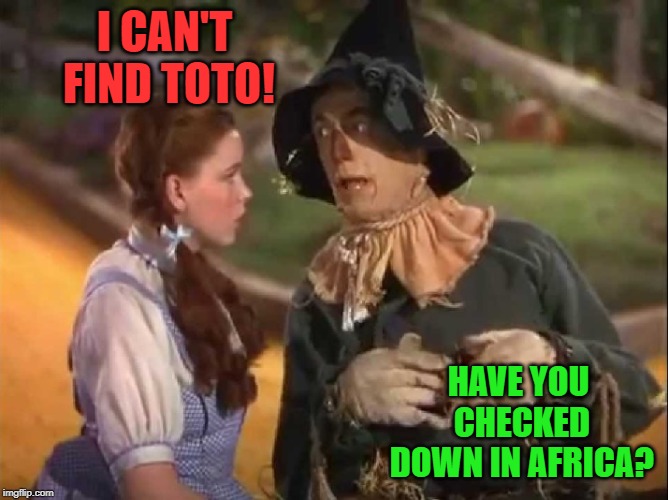 Scarecrow And Dorothy | I CAN'T FIND TOTO! HAVE YOU CHECKED DOWN IN AFRICA? | image tagged in scarecrow and dorothy | made w/ Imgflip meme maker