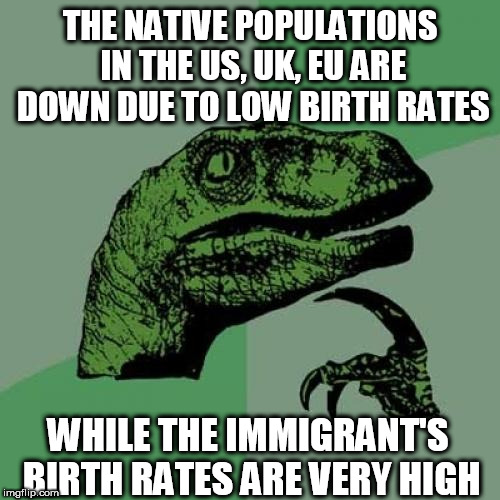 Philosoraptor | THE NATIVE POPULATIONS IN THE US, UK, EU ARE DOWN DUE TO LOW BIRTH RATES; WHILE THE IMMIGRANT'S BIRTH RATES ARE VERY HIGH | image tagged in memes,philosoraptor | made w/ Imgflip meme maker