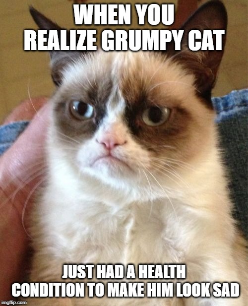 Grumpy Cat | WHEN YOU REALIZE GRUMPY CAT; JUST HAD A HEALTH CONDITION TO MAKE HIM LOOK SAD | image tagged in memes,grumpy cat | made w/ Imgflip meme maker