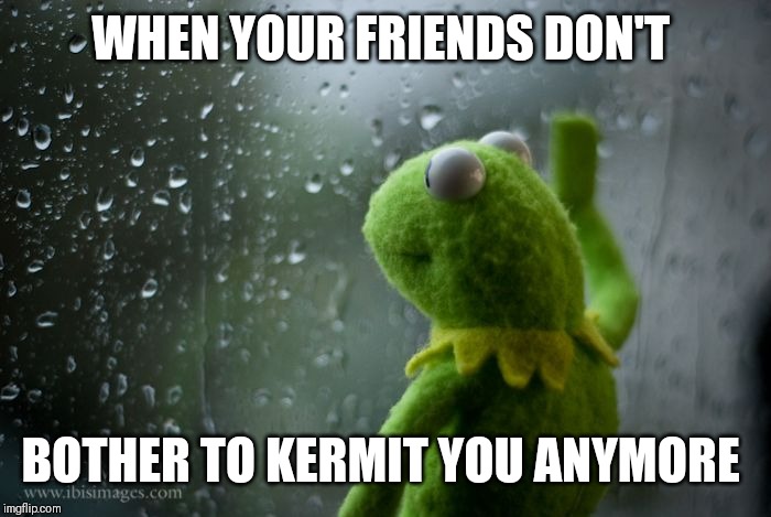 kermit window | WHEN YOUR FRIENDS DON'T; BOTHER TO KERMIT YOU ANYMORE | image tagged in kermit window | made w/ Imgflip meme maker