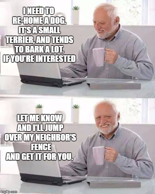 Hide the Pain Harold | I NEED TO RE-HOME A DOG. IT'S A SMALL TERRIER, AND TENDS TO BARK A LOT. IF YOU'RE INTERESTED; LET ME KNOW AND I'LL JUMP OVER MY NEIGHBOR'S  FENCE AND GET IT FOR YOU. | image tagged in memes,hide the pain harold,random,dog,neighbor | made w/ Imgflip meme maker