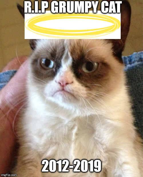 Grumpy Cat | R.I.P GRUMPY CAT; 2012-2019 | image tagged in memes,grumpy cat | made w/ Imgflip meme maker
