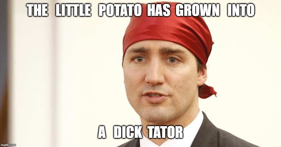 THE   LITTLE   POTATO  HAS  GROWN   INTO; A   DICK  TATOR | image tagged in justin trudeau,politics,funny,little potato | made w/ Imgflip meme maker