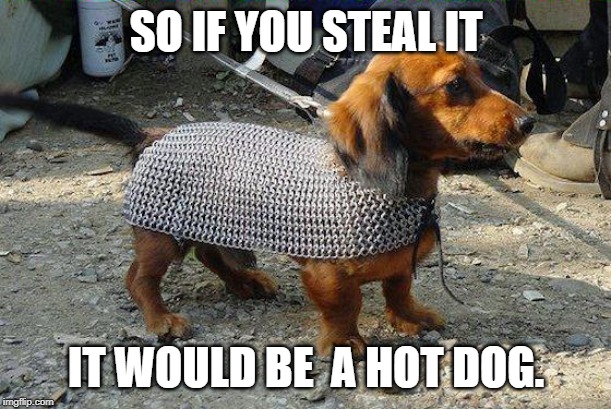 Weiner Dog | SO IF YOU STEAL IT IT WOULD BE  A HOT DOG. | image tagged in weiner dog | made w/ Imgflip meme maker