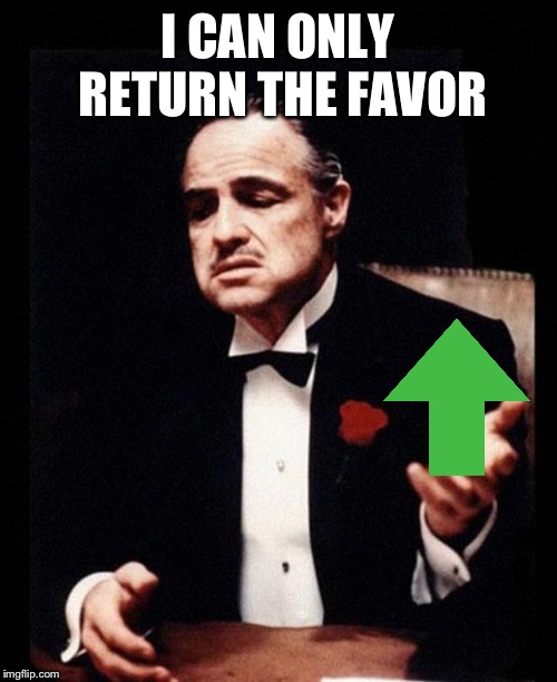 godfather | I CAN ONLY RETURN THE FAVOR | image tagged in godfather | made w/ Imgflip meme maker