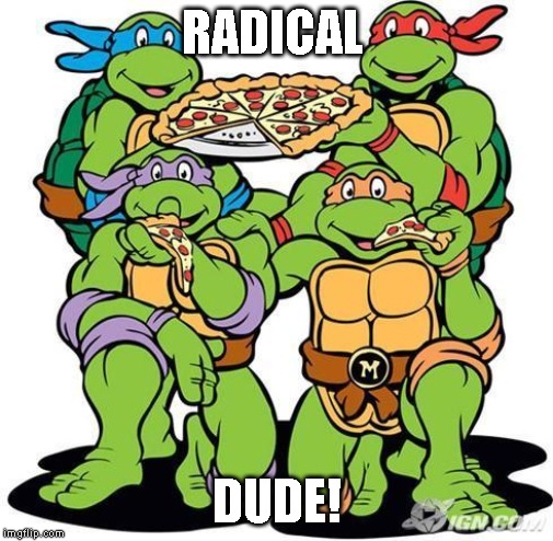TMNT Pizza Party | RADICAL DUDE! | image tagged in tmnt pizza party | made w/ Imgflip meme maker