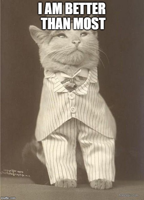 Fancy Cat | I AM BETTER THAN MOST | image tagged in fancy cat | made w/ Imgflip meme maker