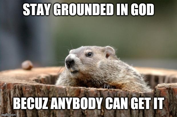 Jroc113 | STAY GROUNDED IN GOD; BECUZ ANYBODY CAN GET IT | image tagged in groundhog | made w/ Imgflip meme maker