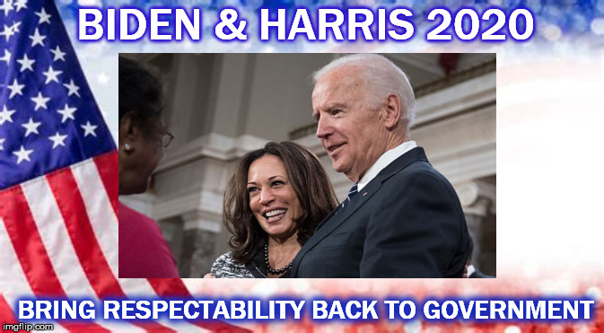 Biden & Harris 2020 | BIDEN & HARRIS 2020; BRING RESPECTABILITY BACK TO GOVERNMENT | image tagged in biden harris,biden harris 2020,gentleman joe,presidential race,donald trump,indivisible | made w/ Imgflip meme maker