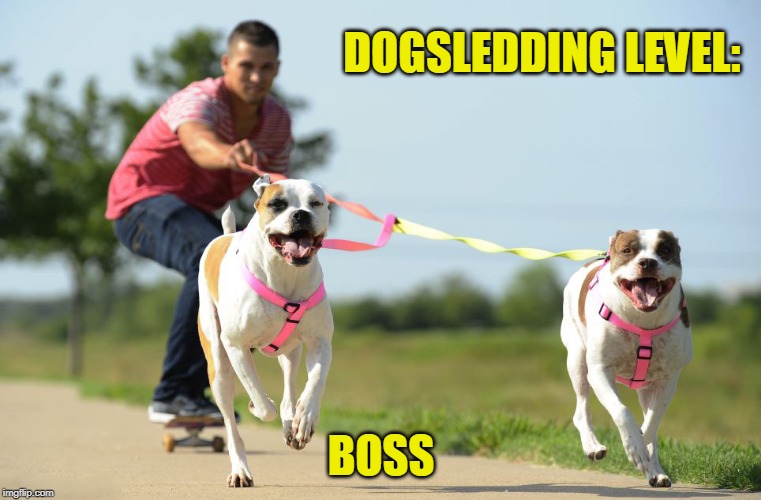 Also, bioenergy utilization | DOGSLEDDING LEVEL:; BOSS | image tagged in memes,dog walking,skateboarding | made w/ Imgflip meme maker