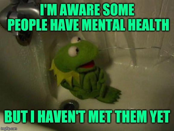 Depressed Kermit | I'M AWARE SOME PEOPLE HAVE MENTAL HEALTH BUT I HAVEN'T MET THEM YET | image tagged in depressed kermit | made w/ Imgflip meme maker