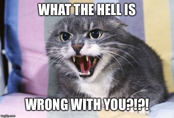 WHAT THE HELL IS WRONG WITH YOU?!?! | made w/ Imgflip meme maker