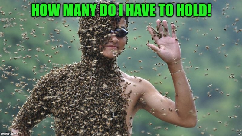 Bees | HOW MANY DO I HAVE TO HOLD! | image tagged in bees | made w/ Imgflip meme maker