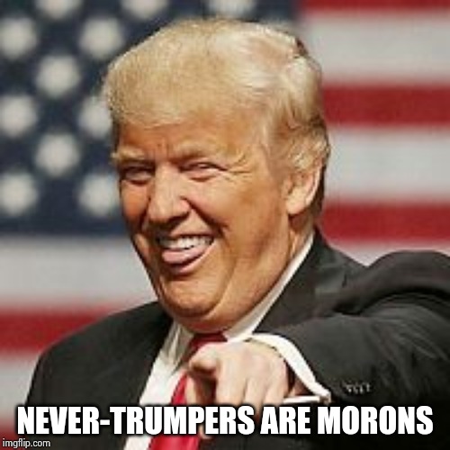 Trump Laughing | NEVER-TRUMPERS ARE MORONS | image tagged in trump laughing | made w/ Imgflip meme maker