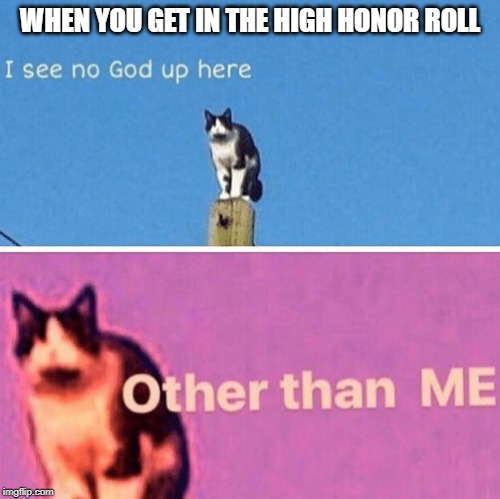 Summer is almost here! | WHEN YOU GET IN THE HIGH HONOR ROLL | image tagged in hail pole cat | made w/ Imgflip meme maker