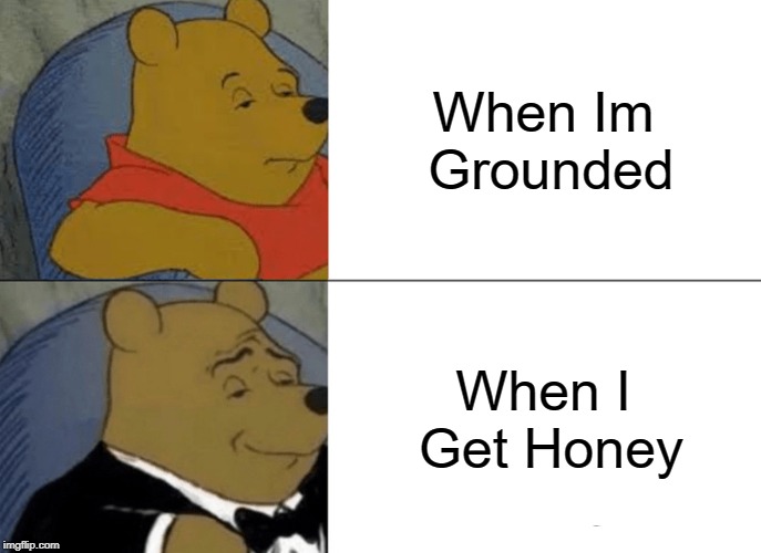 Tuxedo Winnie The Pooh | When Im Grounded; When I Get Honey | image tagged in memes,tuxedo winnie the pooh | made w/ Imgflip meme maker