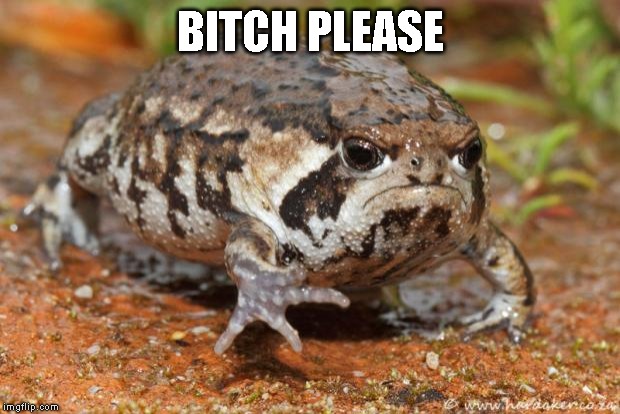 Grumpy Toad Meme | B**CH PLEASE | image tagged in memes,grumpy toad | made w/ Imgflip meme maker