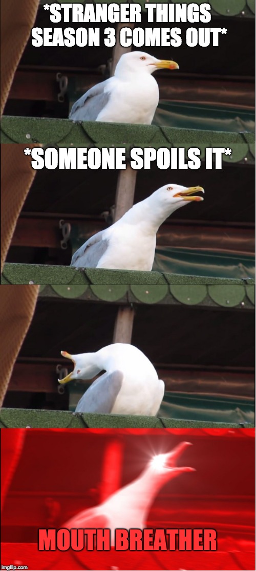 Inhaling Seagull | *STRANGER THINGS SEASON 3 COMES OUT*; *SOMEONE SPOILS IT*; MOUTH BREATHER | image tagged in memes,inhaling seagull | made w/ Imgflip meme maker