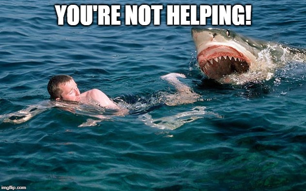 shark attacking | YOU'RE NOT HELPING! | image tagged in shark attacking | made w/ Imgflip meme maker