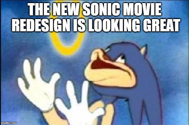 Sonic movie redesign | THE NEW SONIC MOVIE REDESIGN IS LOOKING GREAT | image tagged in sonic derp | made w/ Imgflip meme maker