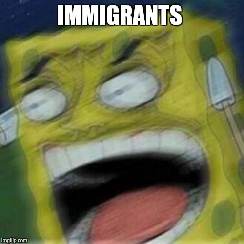 REEEEEEE | IMMIGRANTS | image tagged in reeeeeee | made w/ Imgflip meme maker