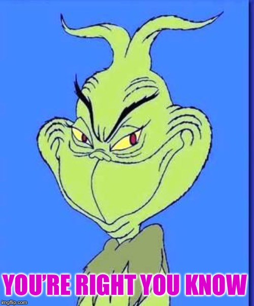 Good Grinch | YOU’RE RIGHT YOU KNOW | image tagged in good grinch | made w/ Imgflip meme maker