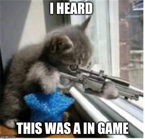 cats with guns |  I HEARD; THIS WAS A IN GAME | image tagged in cats with guns | made w/ Imgflip meme maker
