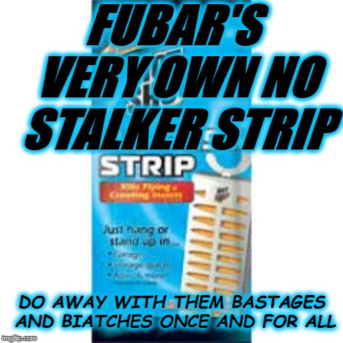 FUBAR'S VERY OWN NO STALKER STRIP; DO AWAY WITH THEM BASTAGES AND BIATCHES ONCE AND FOR ALL | made w/ Imgflip meme maker