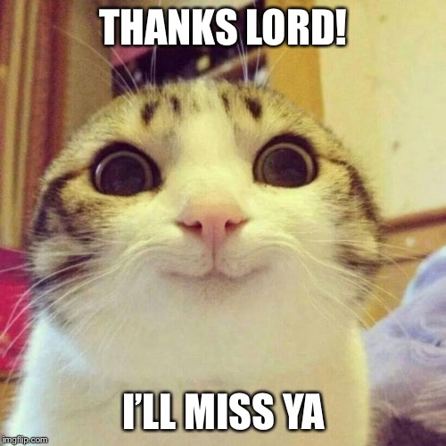 Smiling Cat Meme | THANKS LORD! I’LL MISS YA | image tagged in memes,smiling cat | made w/ Imgflip meme maker