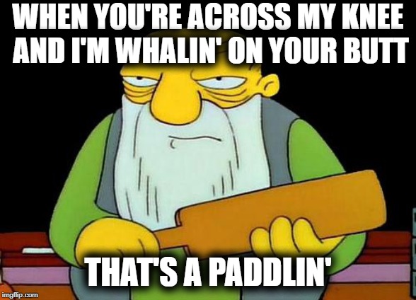In case you didn't know | WHEN YOU'RE ACROSS MY KNEE AND I'M WHALIN' ON YOUR BUTT; THAT'S A PADDLIN' | image tagged in memes,that's a paddlin' | made w/ Imgflip meme maker