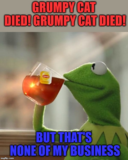 But That's None Of My Business Meme | GRUMPY CAT DIED! GRUMPY CAT DIED! BUT THAT'S NONE OF MY BUSINESS | image tagged in memes,but thats none of my business,kermit the frog | made w/ Imgflip meme maker
