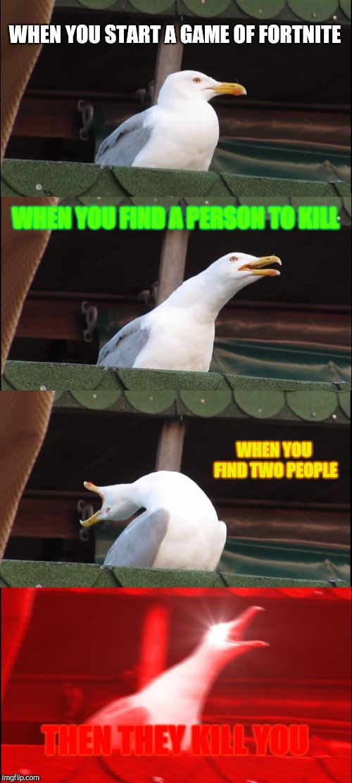 Inhaling Seagull | WHEN YOU START A GAME OF FORTNITE; WHEN YOU FIND A PERSON TO KILL; WHEN YOU FIND TWO PEOPLE; THEN THEY KILL YOU | image tagged in memes,inhaling seagull | made w/ Imgflip meme maker