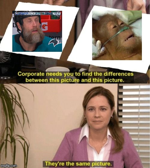 They're The Same Picture Meme | image tagged in corporate needs you to find the differences | made w/ Imgflip meme maker