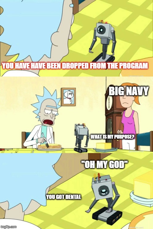 SPEC OPS Drops | YOU HAVE HAVE BEEN DROPPED FROM THE PROGRAM; BIG NAVY; WHAT IS MY PURPOSE? "OH MY GOD"; YOU GOT DENTAL | image tagged in you pass butter | made w/ Imgflip meme maker