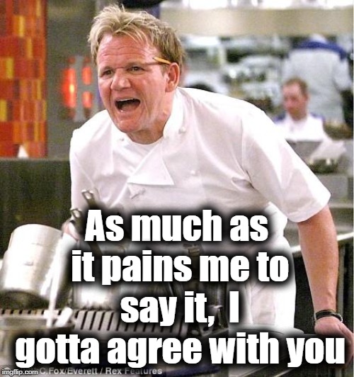 Chef Gordon Ramsay Meme | As much as it pains me to say it,  I gotta agree with you | image tagged in memes,chef gordon ramsay | made w/ Imgflip meme maker