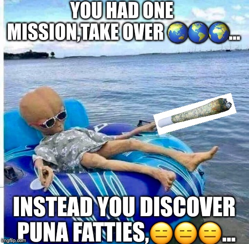 Alien Invasion | YOU HAD ONE MISSION,TAKE OVER 🌏🌎🌍... INSTEAD YOU DISCOVER PUNA FATTIES,😑😑😑... | image tagged in alien guy | made w/ Imgflip meme maker