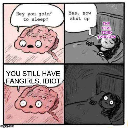 Hey you going to sleep? | THE REAL TORD LARSSON; YOU STILL HAVE FANGIRLS, IDIOT. | image tagged in hey you going to sleep | made w/ Imgflip meme maker