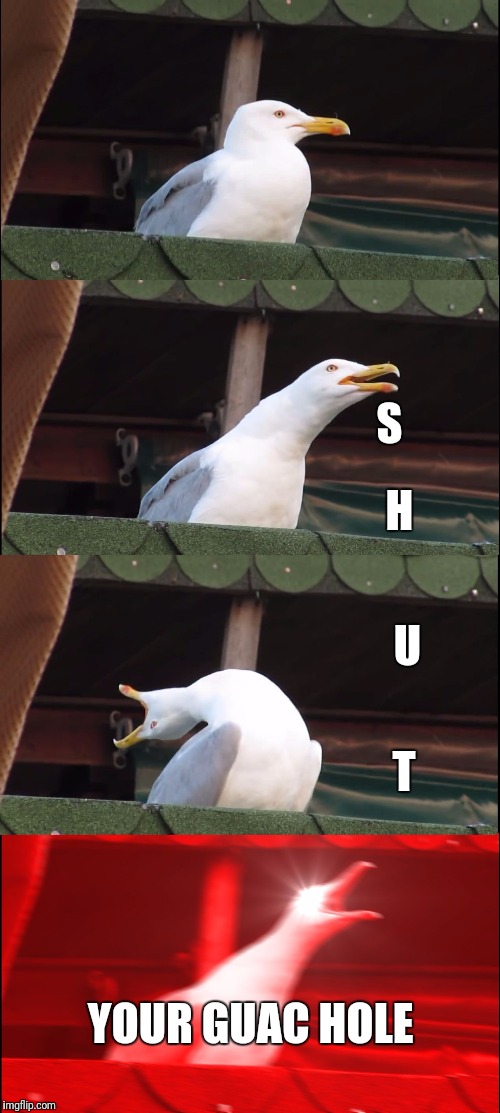 Inhaling Seagull Meme | S; H; U; T; YOUR GUAC HOLE | image tagged in memes,inhaling seagull | made w/ Imgflip meme maker