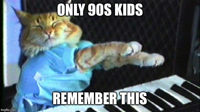 Piano cat | ONLY 90S KIDS; REMEMBER THIS | image tagged in piano cat | made w/ Imgflip meme maker