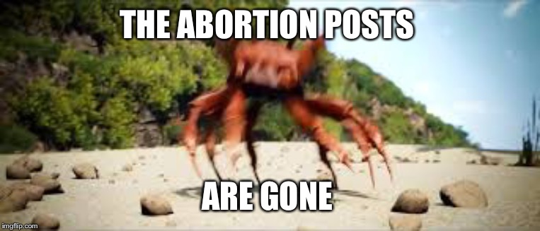 crab rave | THE ABORTION POSTS; ARE GONE | image tagged in crab rave | made w/ Imgflip meme maker