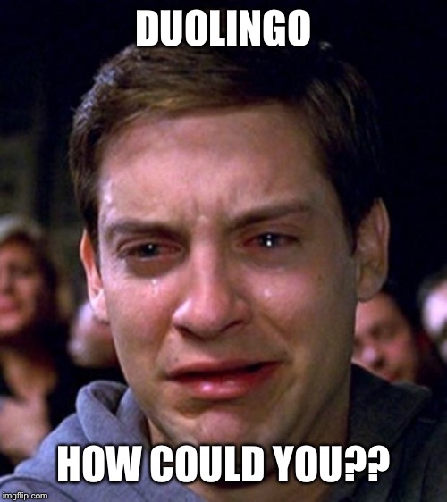 crying peter parker | DUOLINGO HOW COULD YOU?? | image tagged in crying peter parker | made w/ Imgflip meme maker