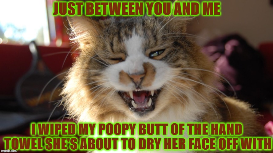 BUTT WIPE | JUST BETWEEN YOU AND ME; I WIPED MY POOPY BUTT OF THE HAND TOWEL SHE'S ABOUT TO DRY HER FACE OFF WITH | image tagged in butt wipe | made w/ Imgflip meme maker