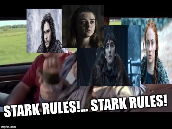 Stark Rules | STARK RULES!... STARK RULES! | image tagged in got,game of thrones,bran stark,jon snow,sansa stark,arya stark | made w/ Imgflip meme maker