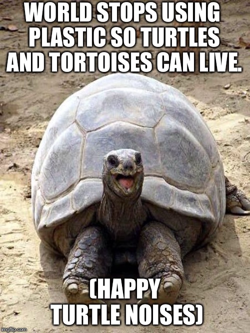 Smiling happy excited tortoise | WORLD STOPS USING PLASTIC SO TURTLES AND TORTOISES CAN LIVE. (HAPPY TURTLE NOISES) | image tagged in smiling happy excited tortoise | made w/ Imgflip meme maker