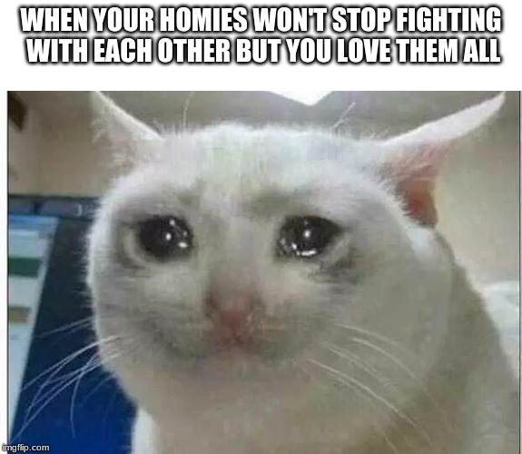 crying cat | WHEN YOUR HOMIES WON'T STOP FIGHTING WITH EACH OTHER BUT YOU LOVE THEM ALL | image tagged in crying cat | made w/ Imgflip meme maker