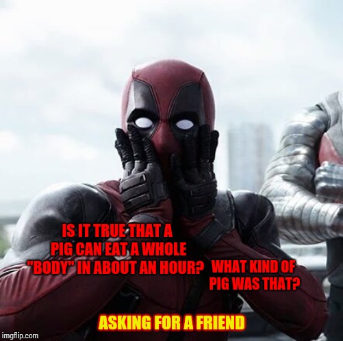 Reasonable Doubt | IS IT TRUE THAT A PIG CAN EAT A WHOLE "BODY" IN ABOUT AN HOUR? WHAT KIND OF PIG WAS THAT? ASKING FOR A FRIEND | image tagged in memes,deadpool surprised,goofy time,lol,stupidity,silly | made w/ Imgflip meme maker