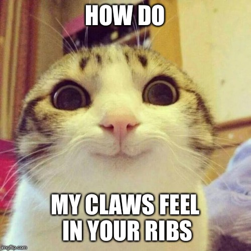 Smiling Cat | HOW DO; MY CLAWS FEEL IN YOUR RIBS | image tagged in memes,smiling cat | made w/ Imgflip meme maker