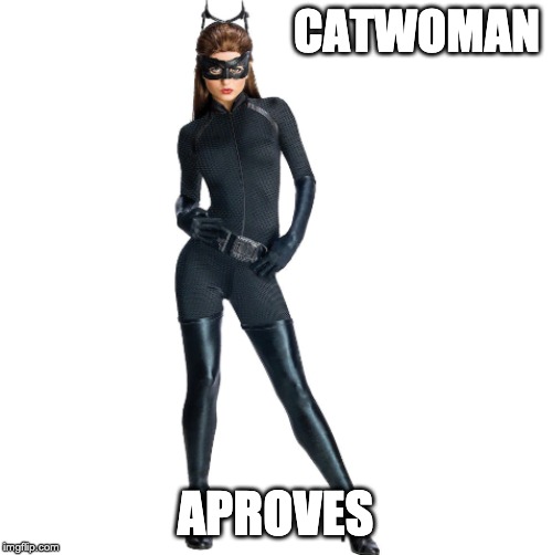 CATWOMAN APROVES | made w/ Imgflip meme maker
