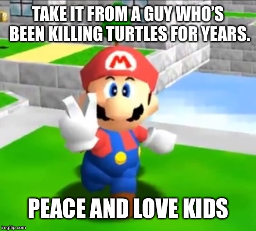 Peace and Love Kids | TAKE IT FROM A GUY WHO’S BEEN KILLING TURTLES FOR YEARS. PEACE AND LOVE KIDS | image tagged in peace and love kids | made w/ Imgflip meme maker